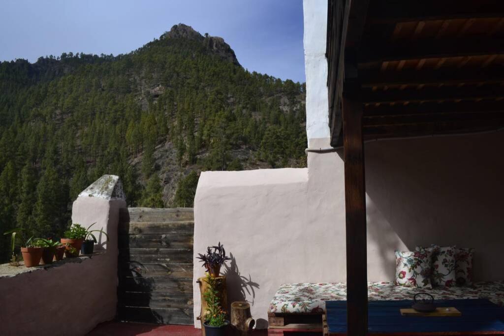 Casa Rural Lomito Del Pino Tejeda  Dış mekan fotoğraf