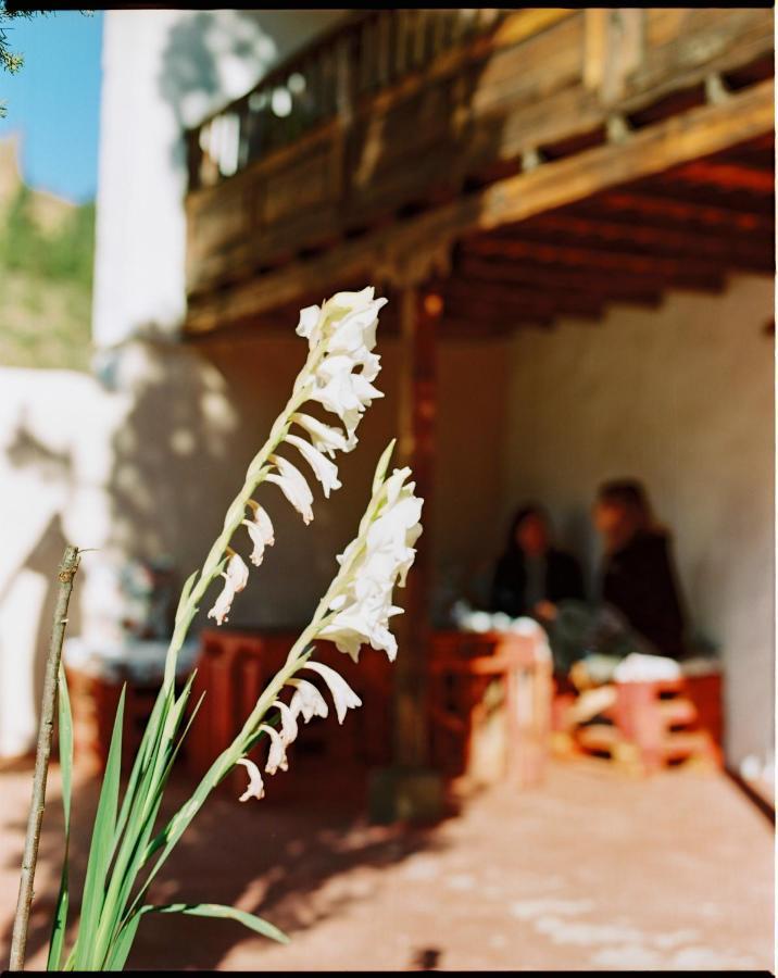 Casa Rural Lomito Del Pino Tejeda  Dış mekan fotoğraf