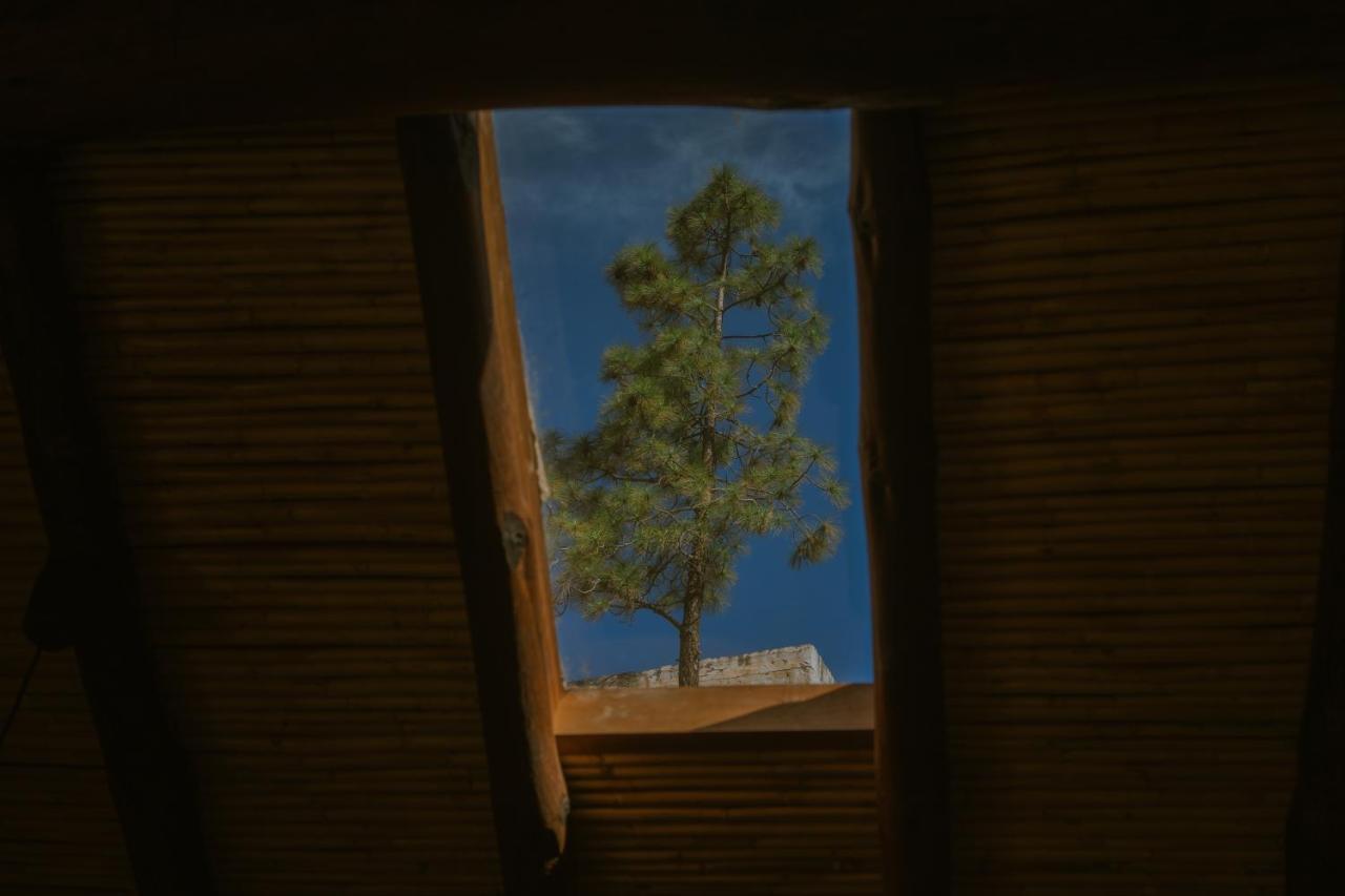 Casa Rural Lomito Del Pino Tejeda  Dış mekan fotoğraf