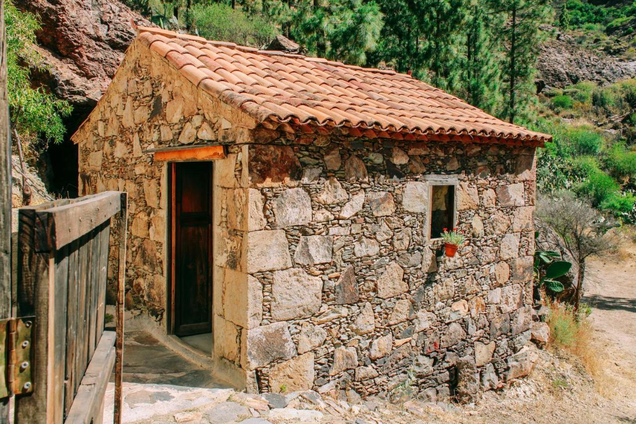 Casa Rural Lomito Del Pino Tejeda  Dış mekan fotoğraf